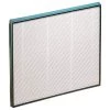 Hunter Replacement HEPA Filter (30938) -Air Filter Sales 512mUqnj6sL